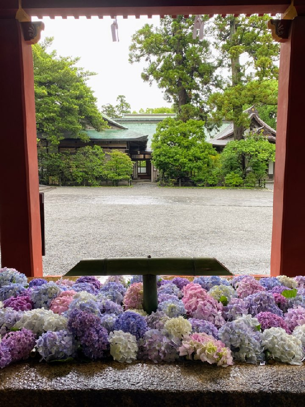 八幡様の花手水 | FLORAL DIARY | FLORAL ANTIQUES